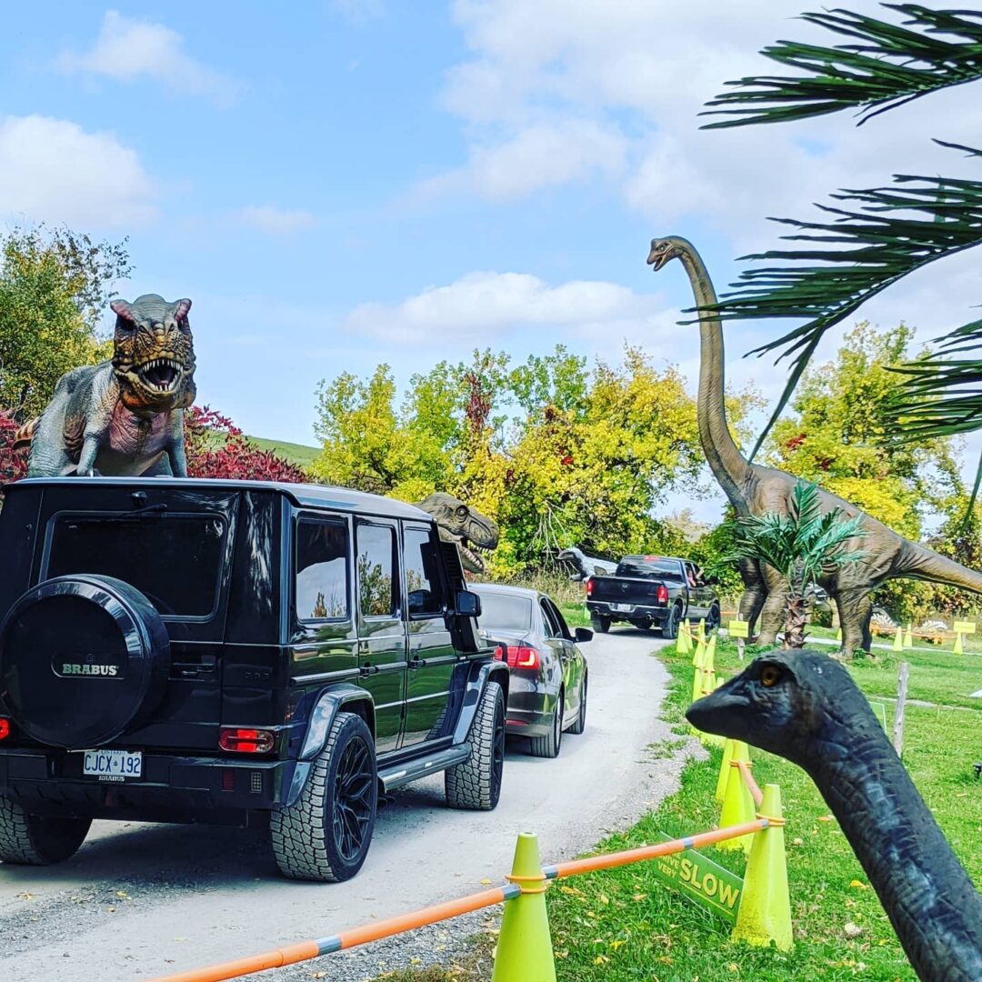 cars driving through dinosaur drive through at Indian River Reptile and Dinosaur Park