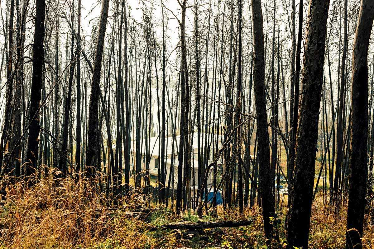 Rear view of the Woodsworth cottage through the trees