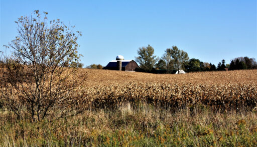 rural land in Uxbridge