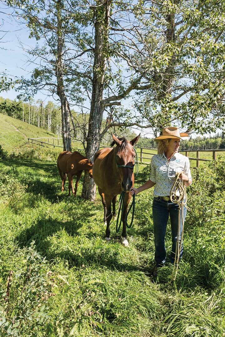 Cathy leads her horses along a trail outside