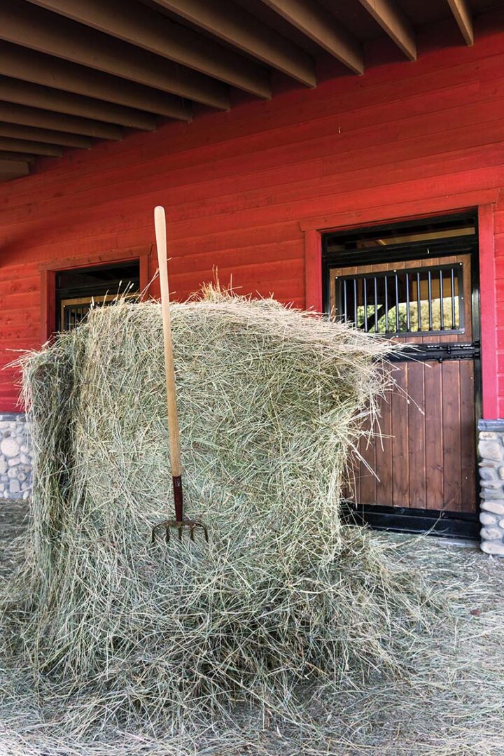Hay outside the cabin-barn with a rake in it