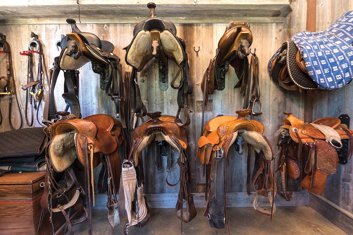 Saddles hung on a wall