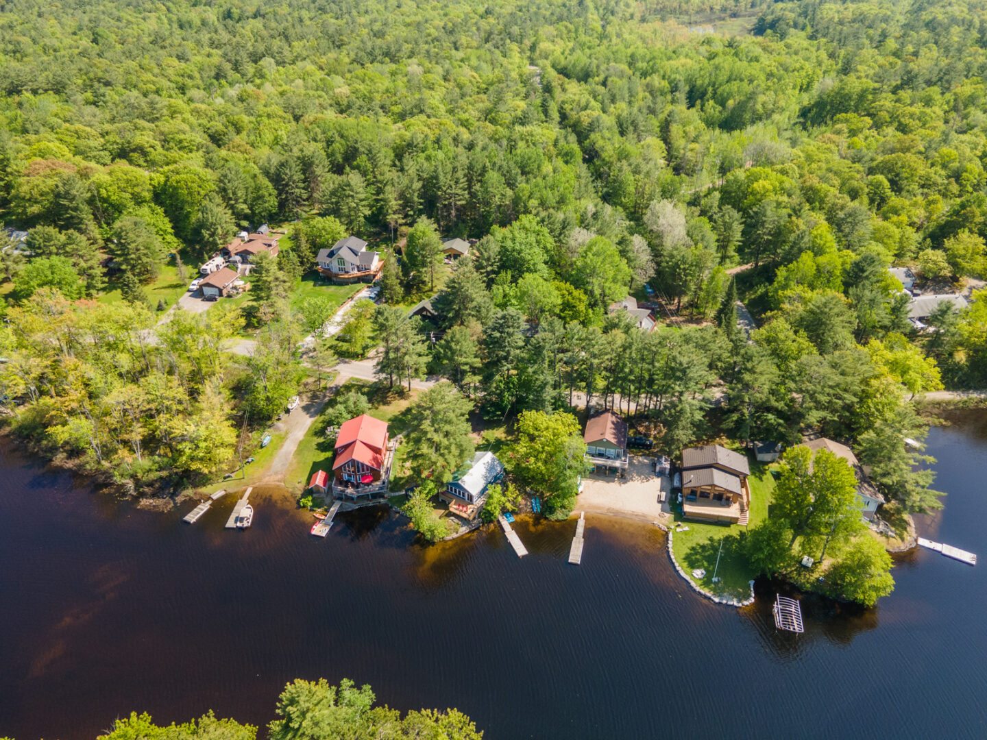 A few cottages sit close together on the shore of a lake. Green trees surround the land behind them.