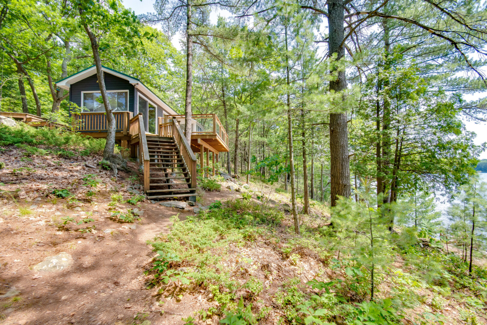A small cabin sits at the top of a sloping, tree-lined area.