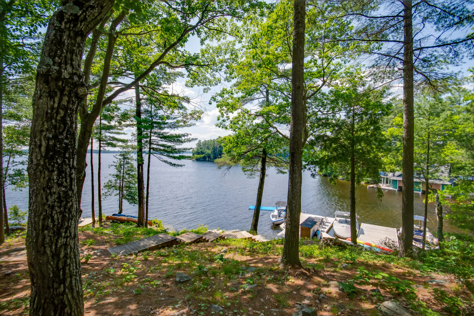 Through green trees, a dock can be seen a small distance away, extending into a blue lake.