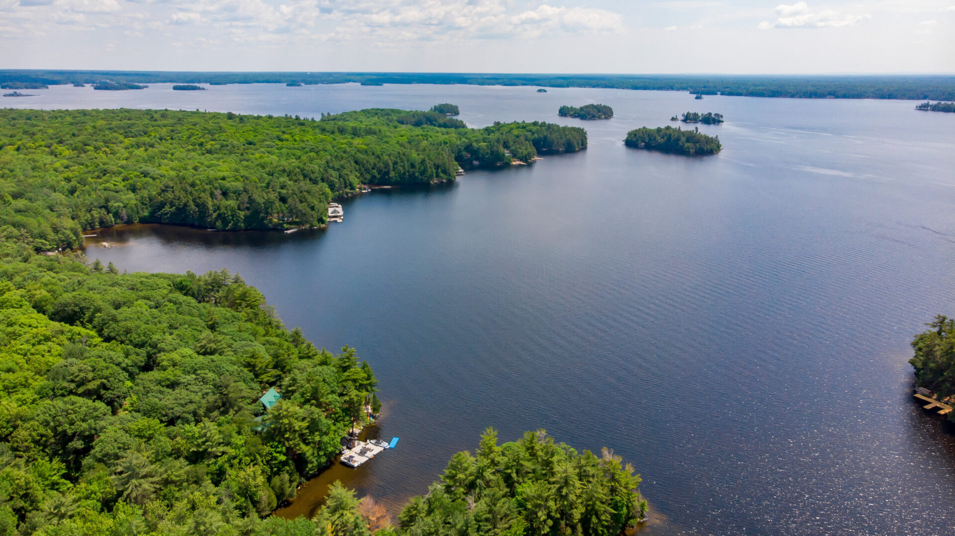 Aerial view of a stretch of lake with a curved shoreline that is dense with green trees.