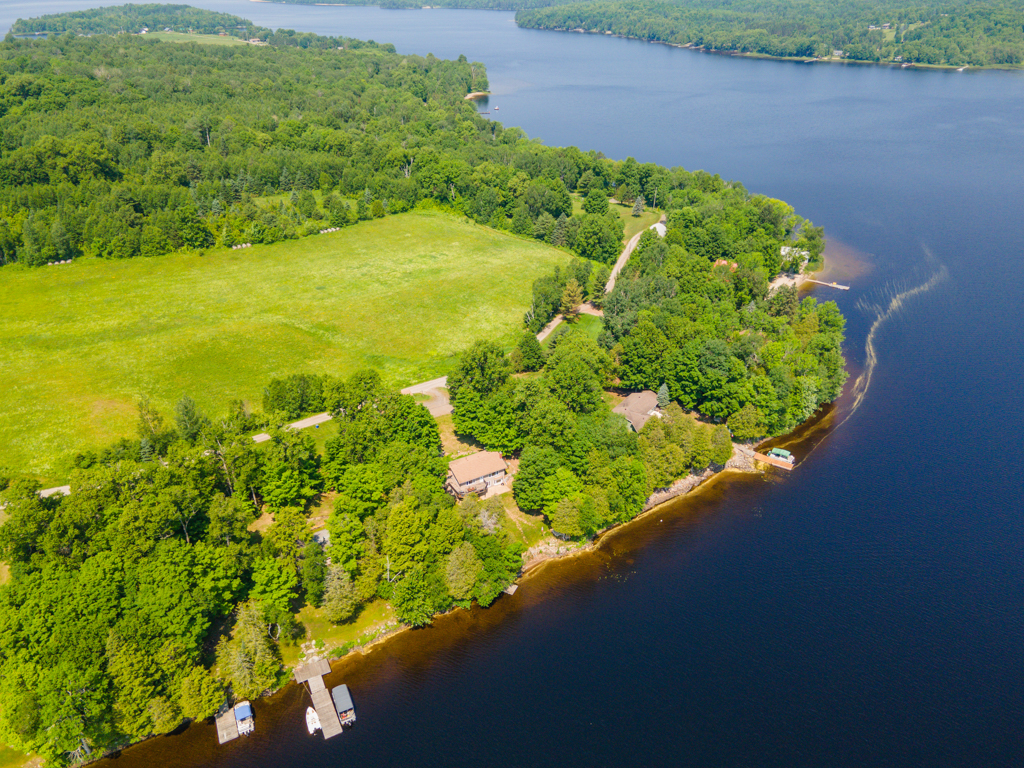 Green trees line the shore of a curved blue lake.