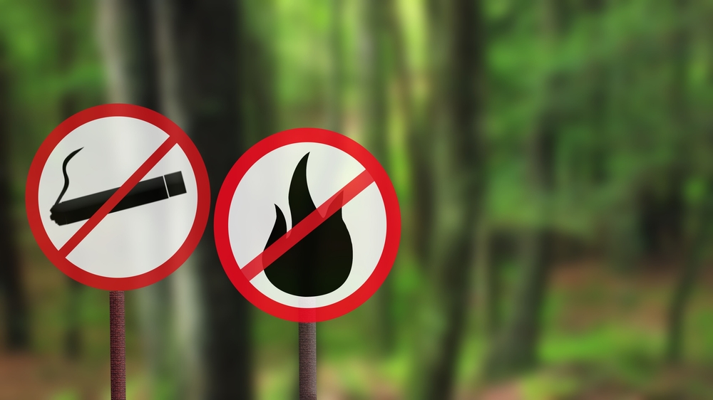 no fire icon in forest