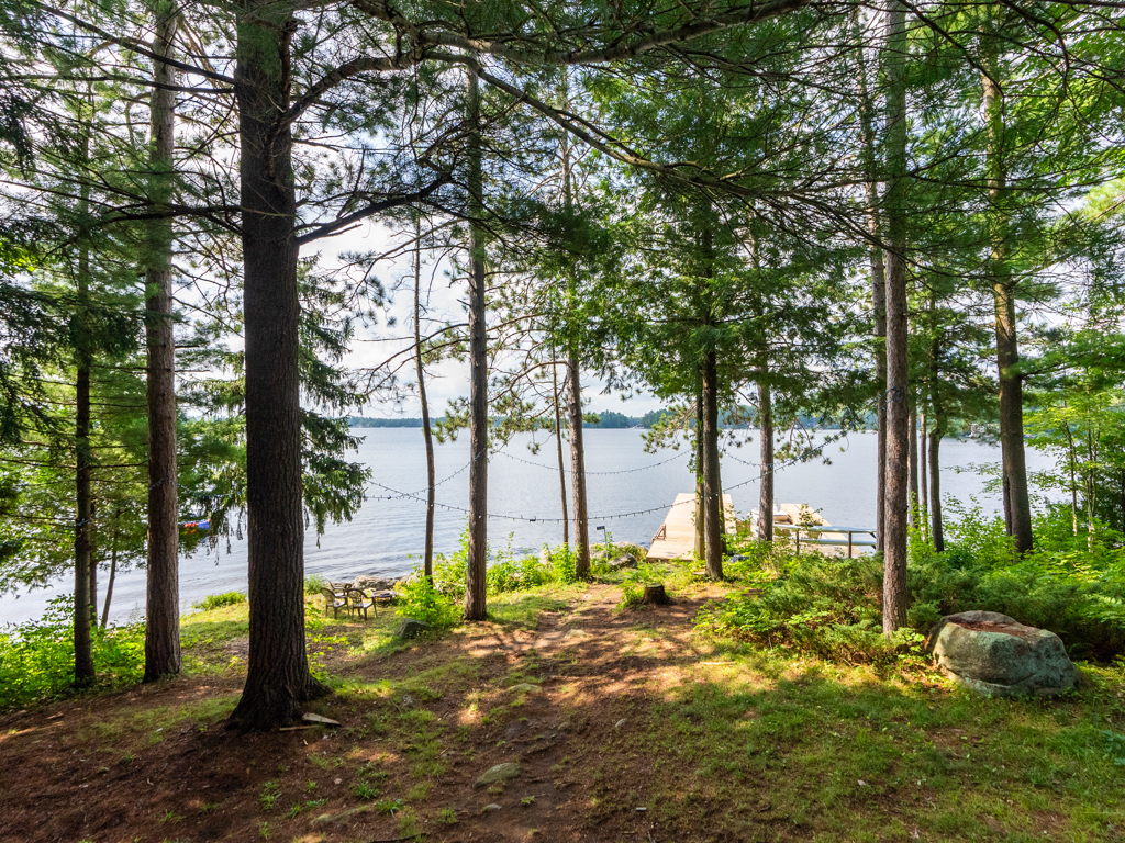 View through a grassy area with tall trees toward a lake.