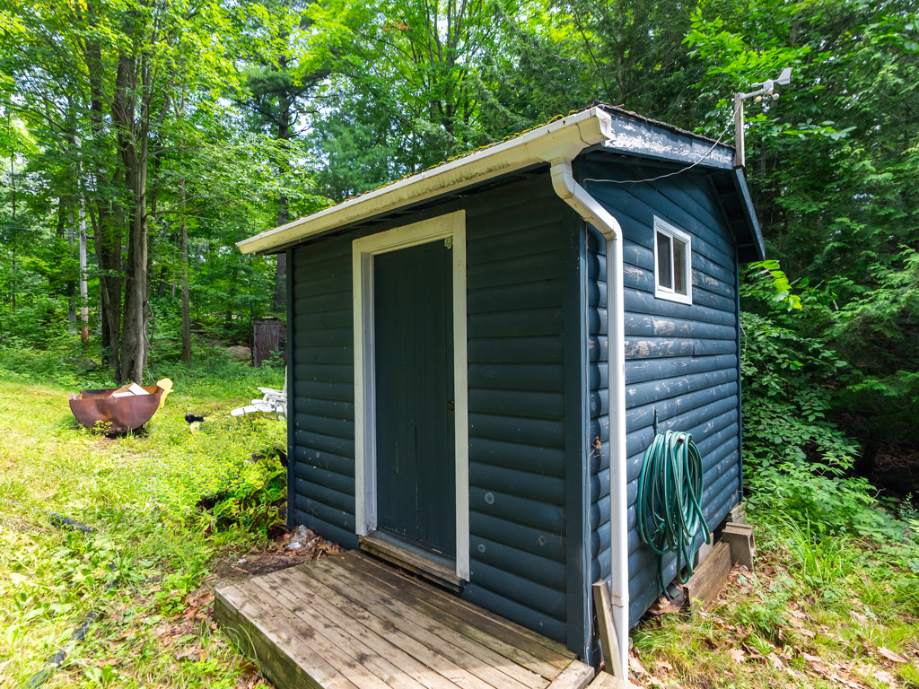 A small, dark blue shed sits in front of green trees.
