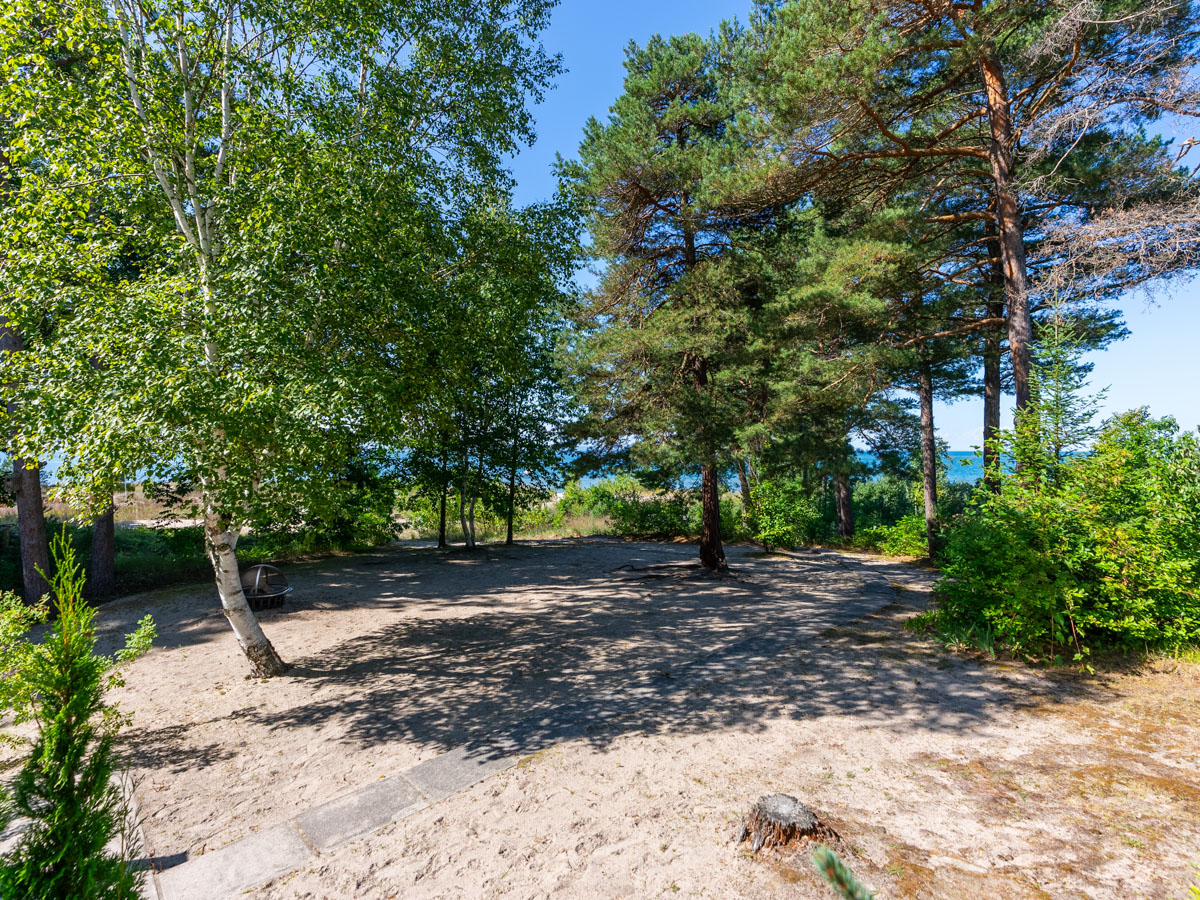 A wide, sandy area with green trees all around.