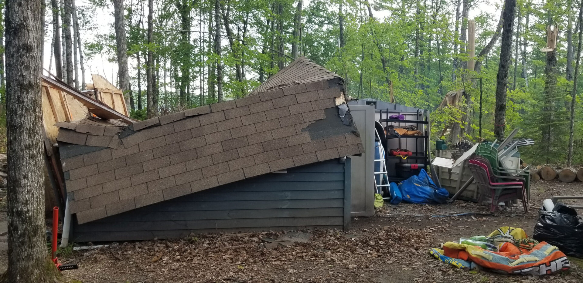 shed crushed by trees