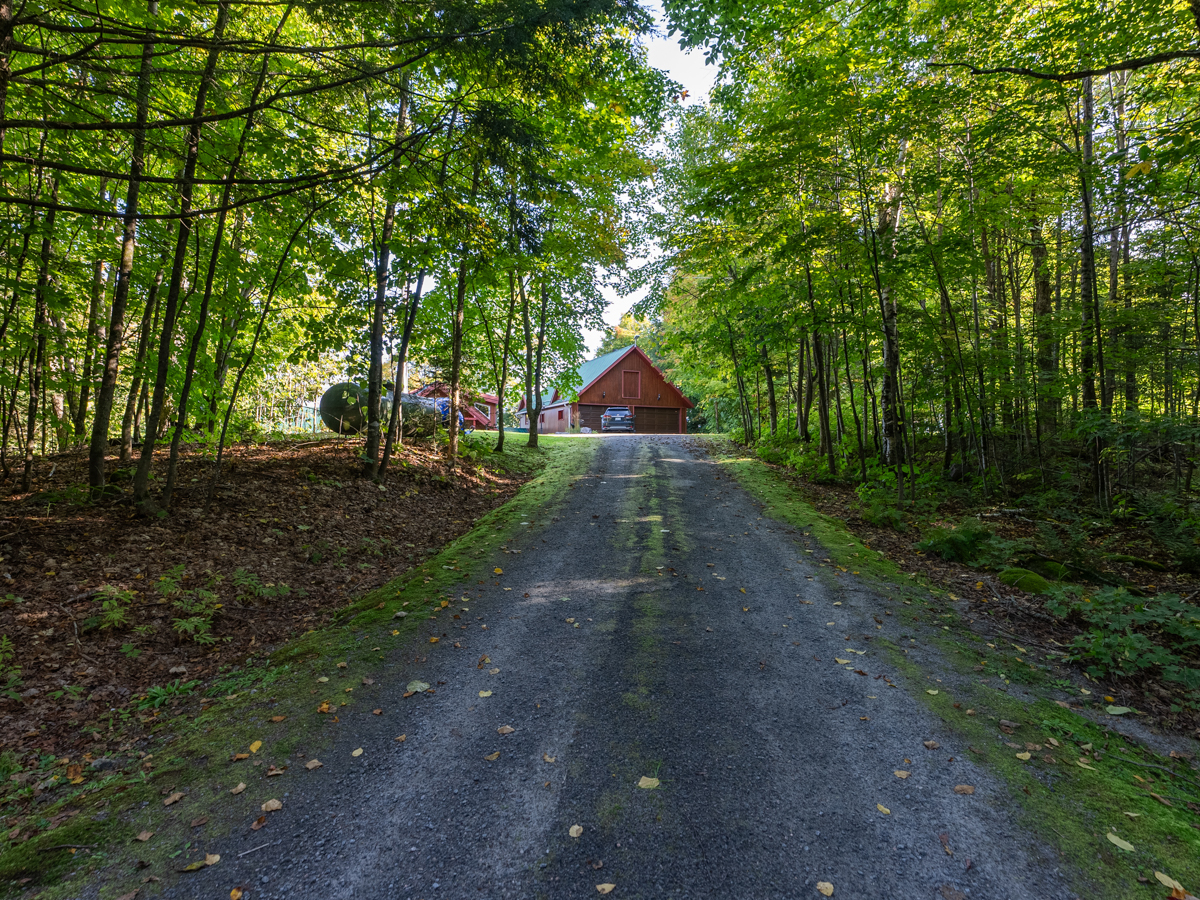 A long, tree-lined road leads to a big cottage.