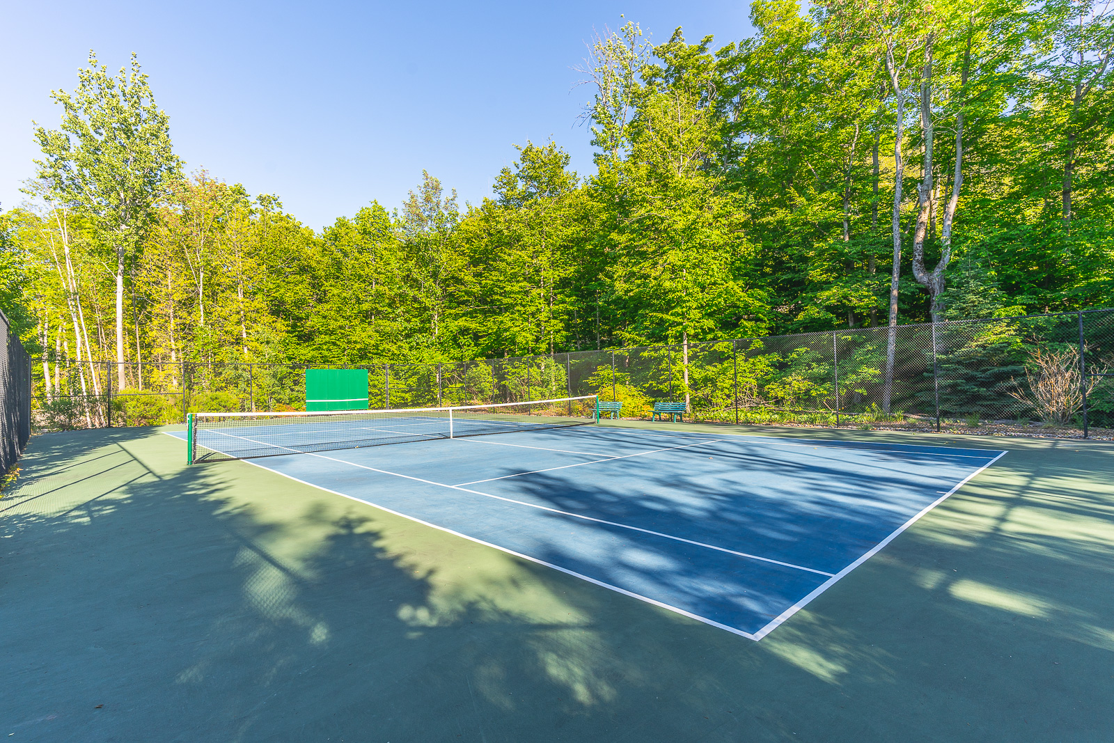 A large outdoor tennis court surrounded by green trees.