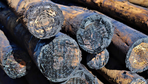 Several logs treated with creosote