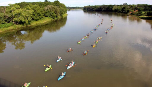 Reconciliation Paddle
