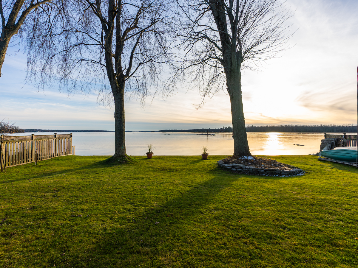 Two trees sit on a grassy, level lakeside lot.