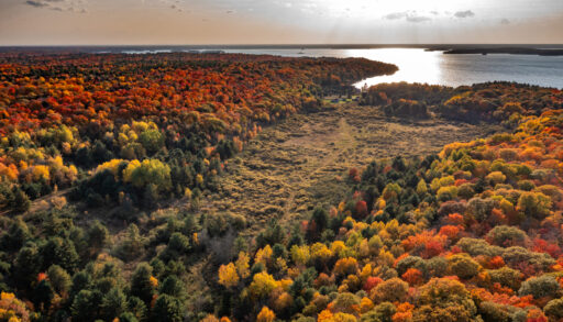 Drone shot of Muskoka Wetland near Bracebridge