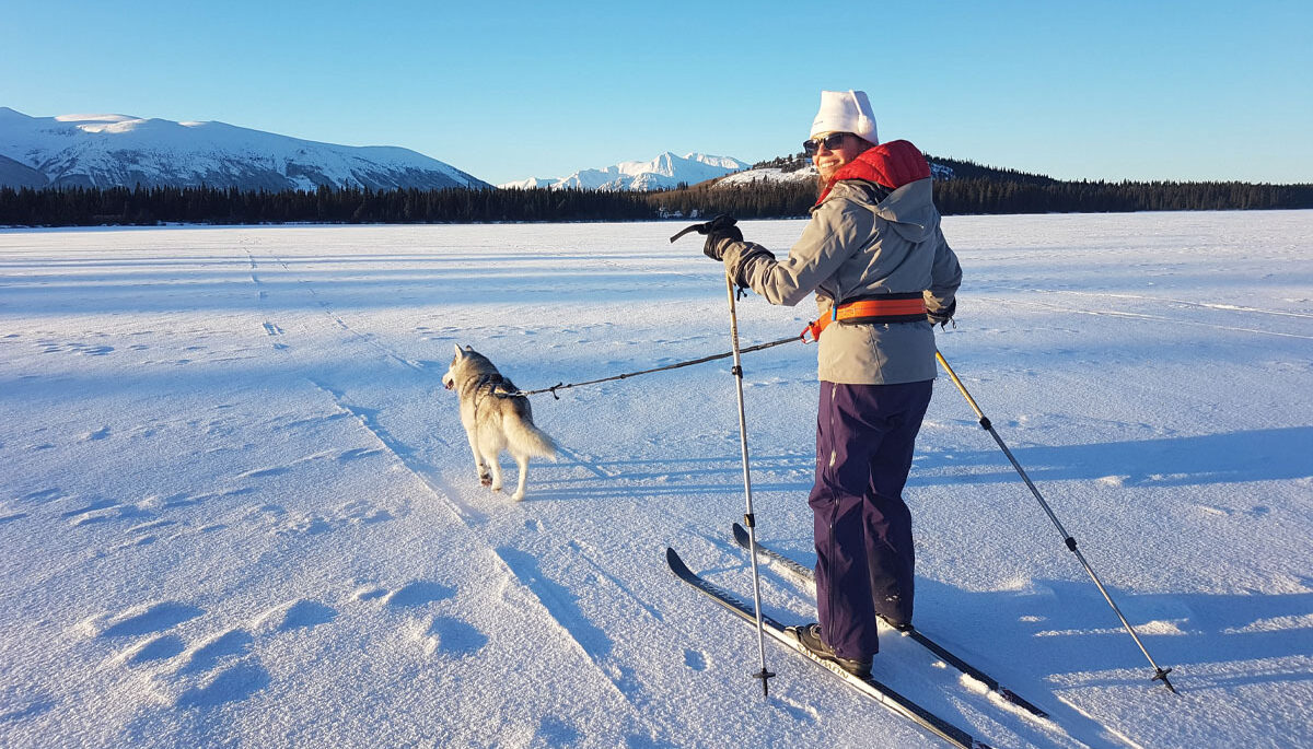 Image of Fiona McGlynn skijoring with her dogs on a sunny day