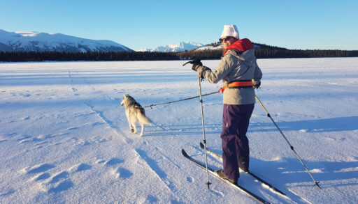 Image of Fiona McGlynn skijoring with her dogs on a sunny day
