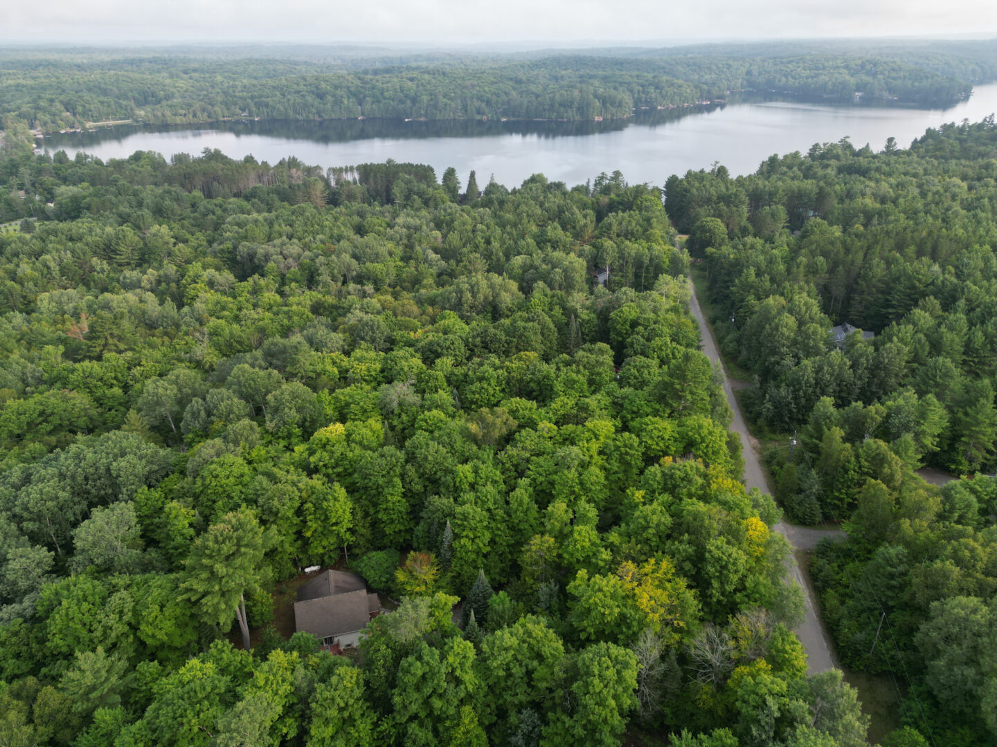 Overhead view of a small inland cottage sitting among a sea of green trees. Not far beyond the trees is a calm lake.