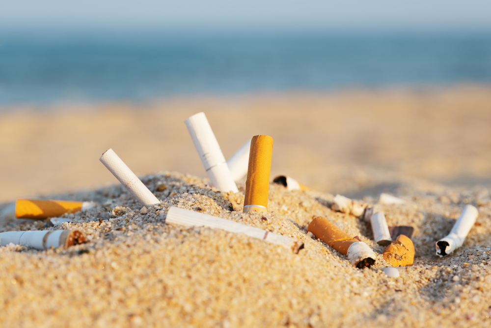 cigarette butts in the sand