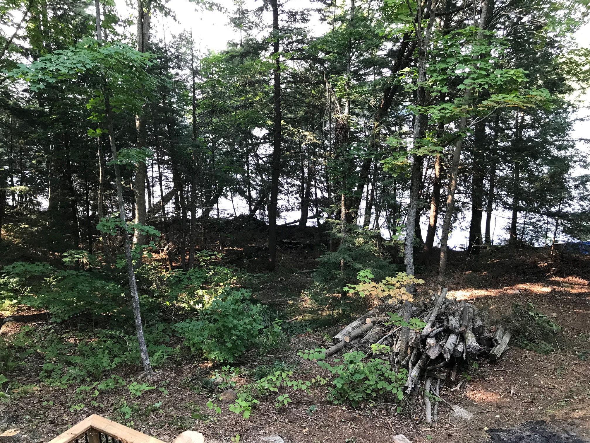 View through trees toward a lake, off a deck.