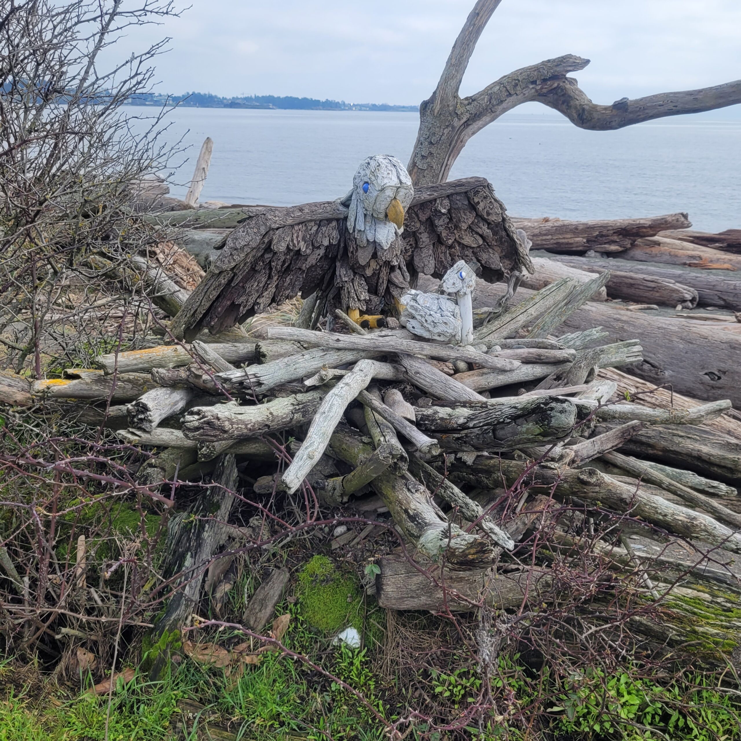 a driftwood sculpture of an eagle