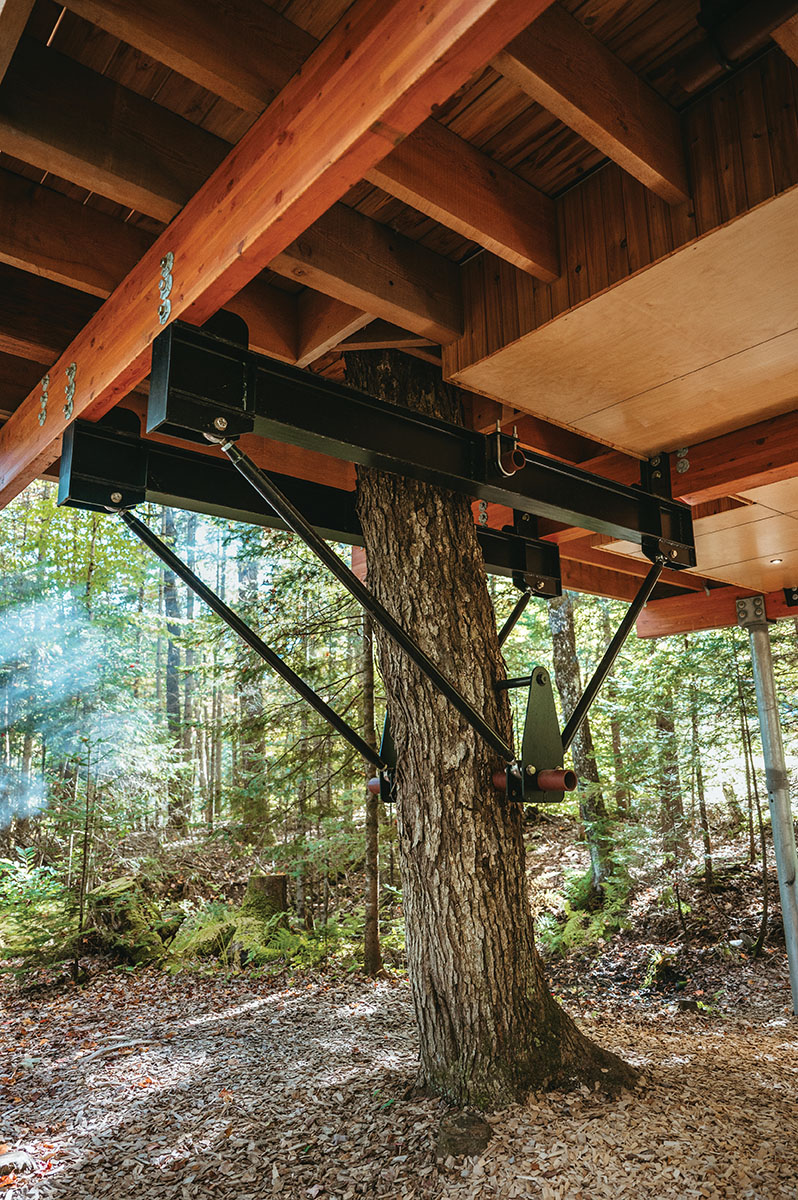 Attachment bolts hold up the base of the treehouse on the tree