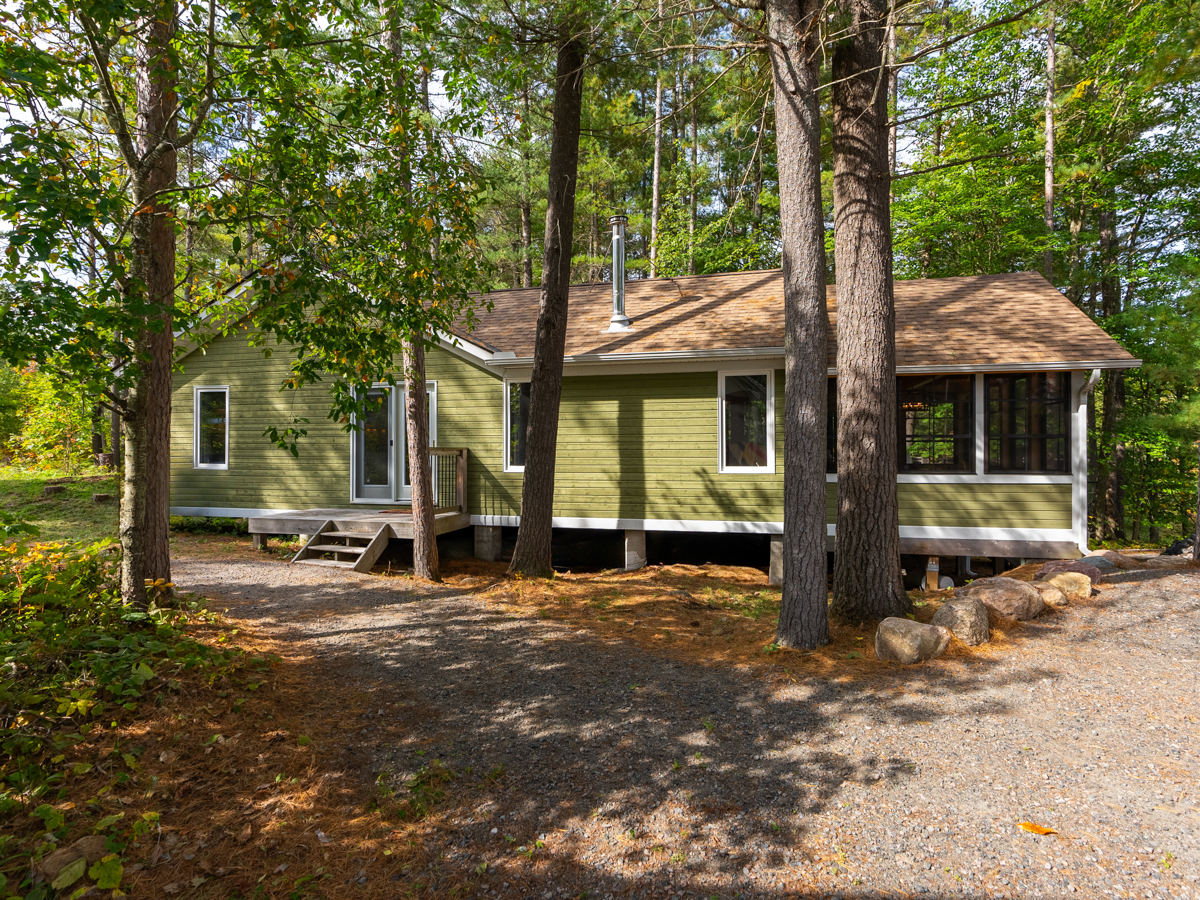 A light green cottage with large windows is partially hidden behind the trunks of tall trees
