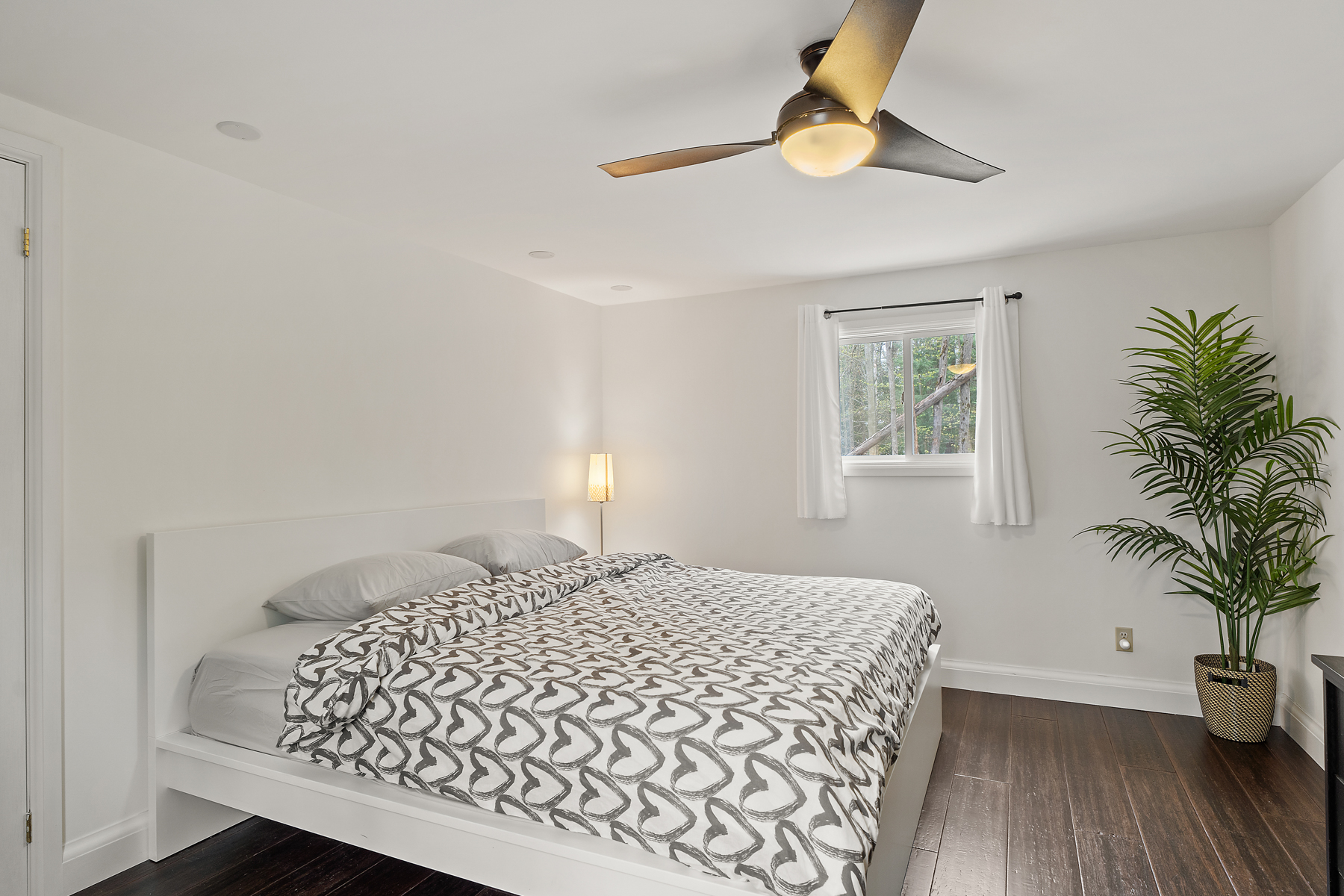 A bright bedroom with hardwood floors, a ceiling fan, and a small planted palm tree.