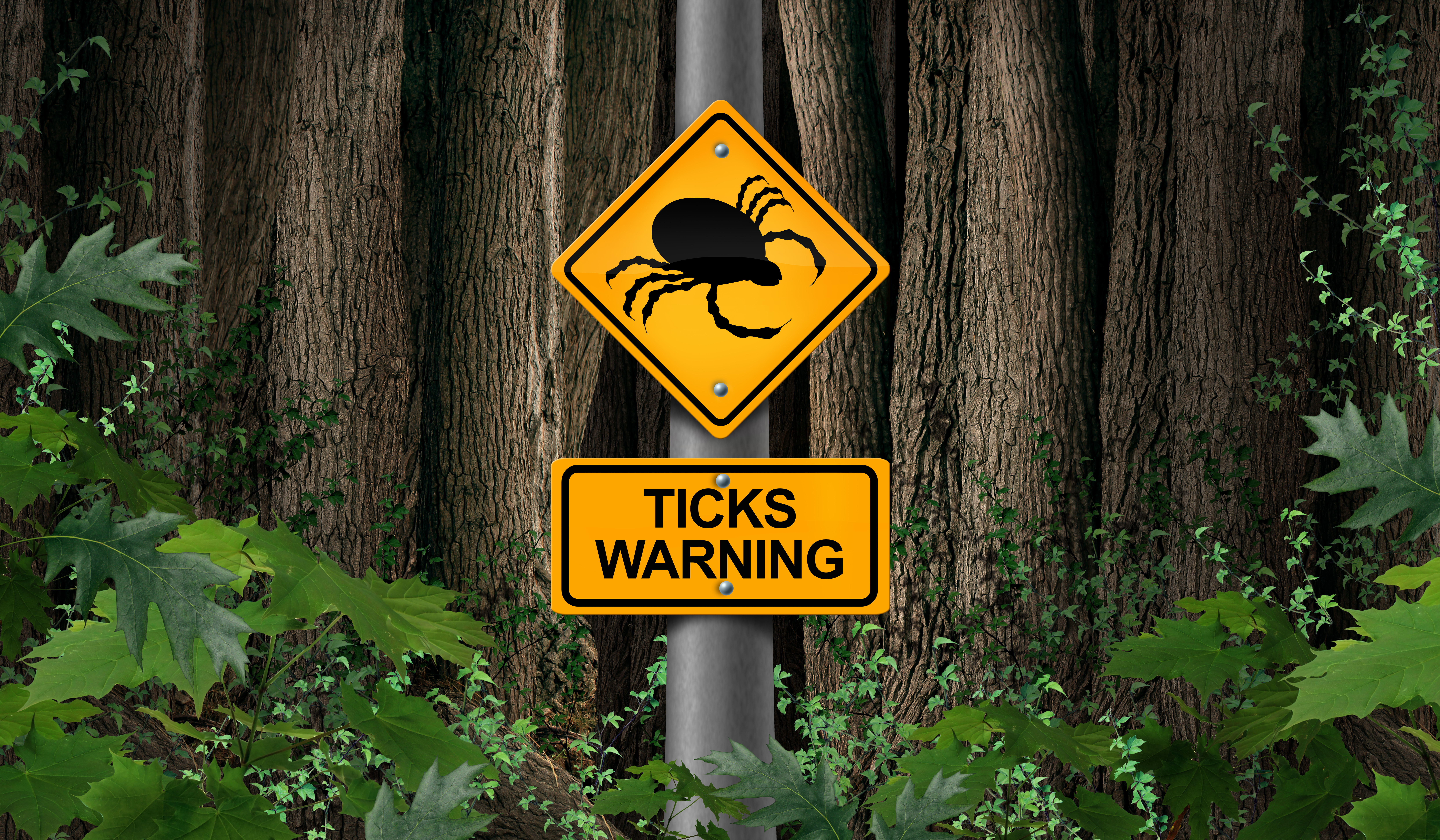 Road sign warning of ticks