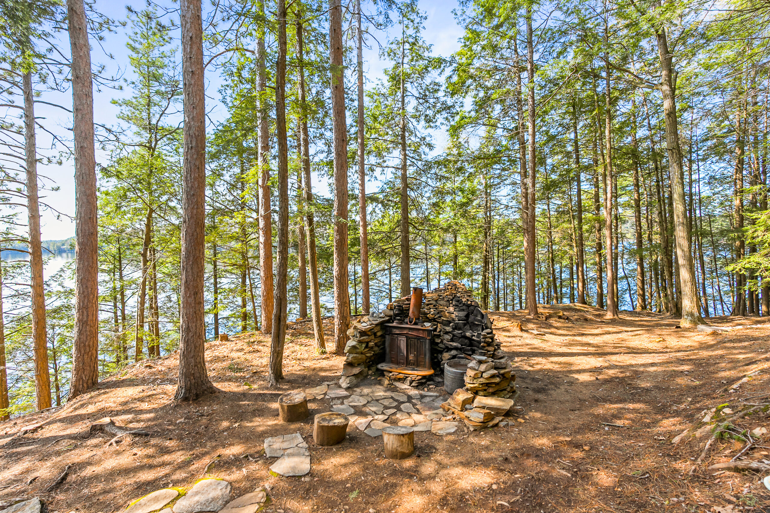 A fire pit area surrounded by tall trees