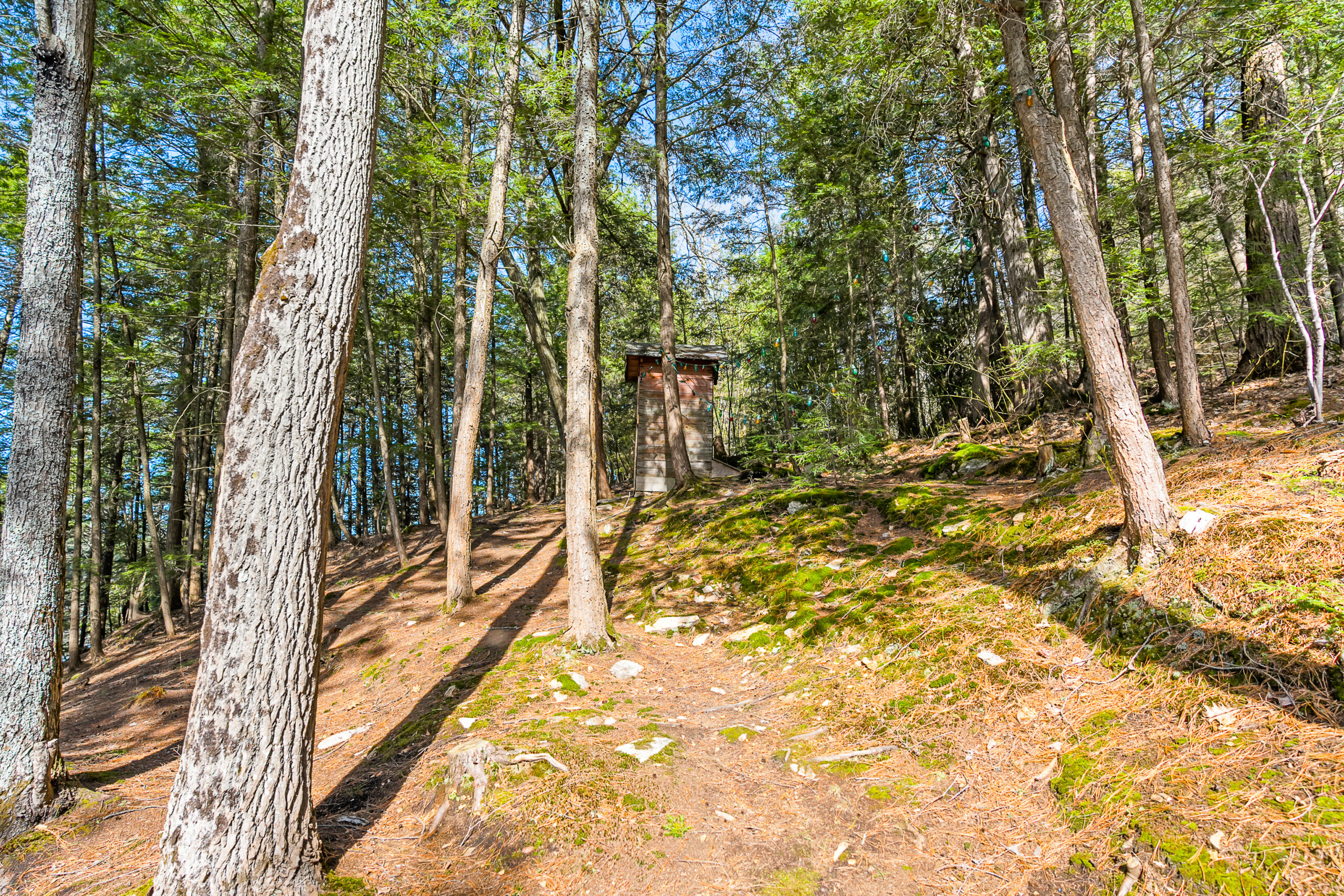 The brown ground leads to an outhouse in the distance