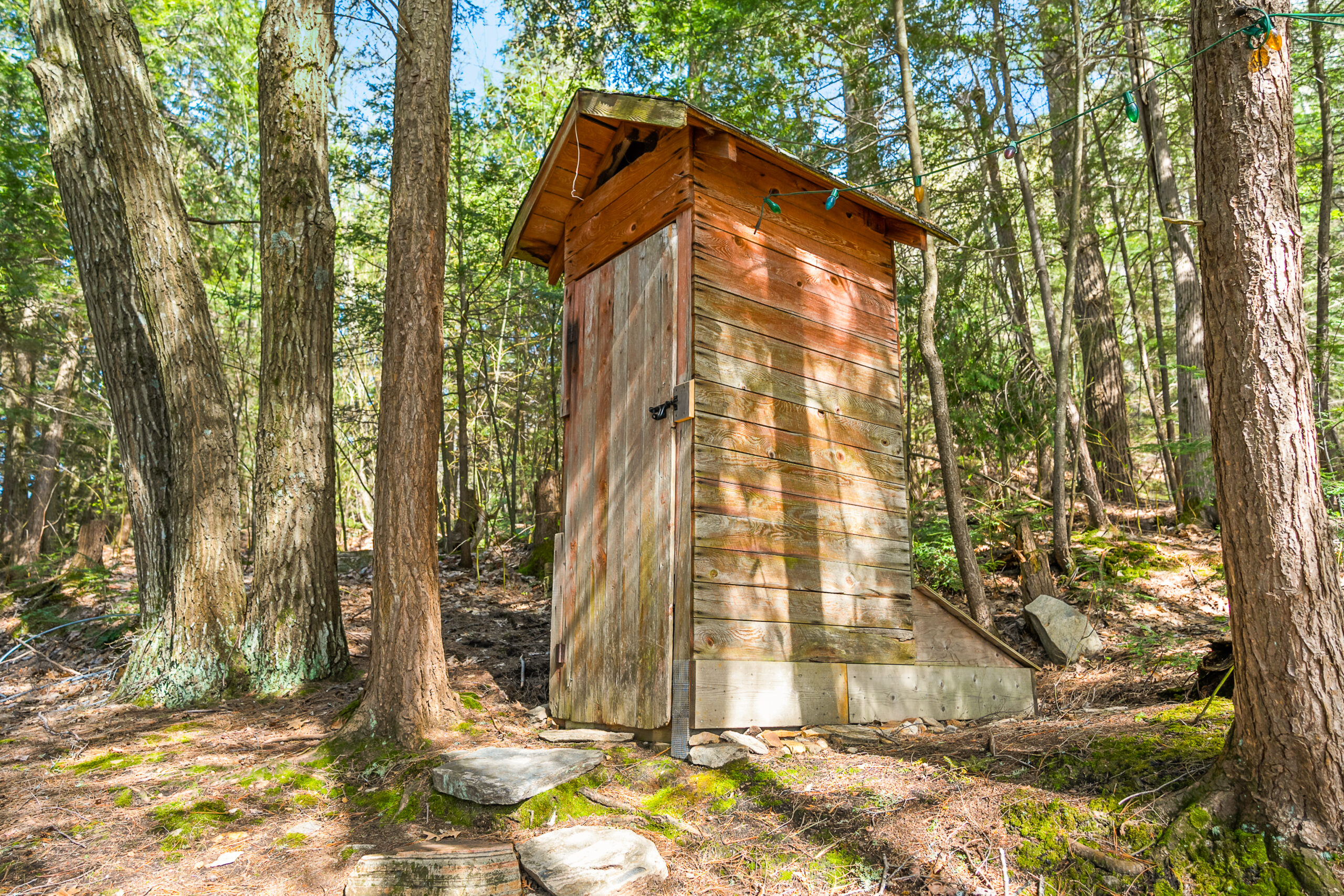 A wood panelled outhouse surrounded by trees