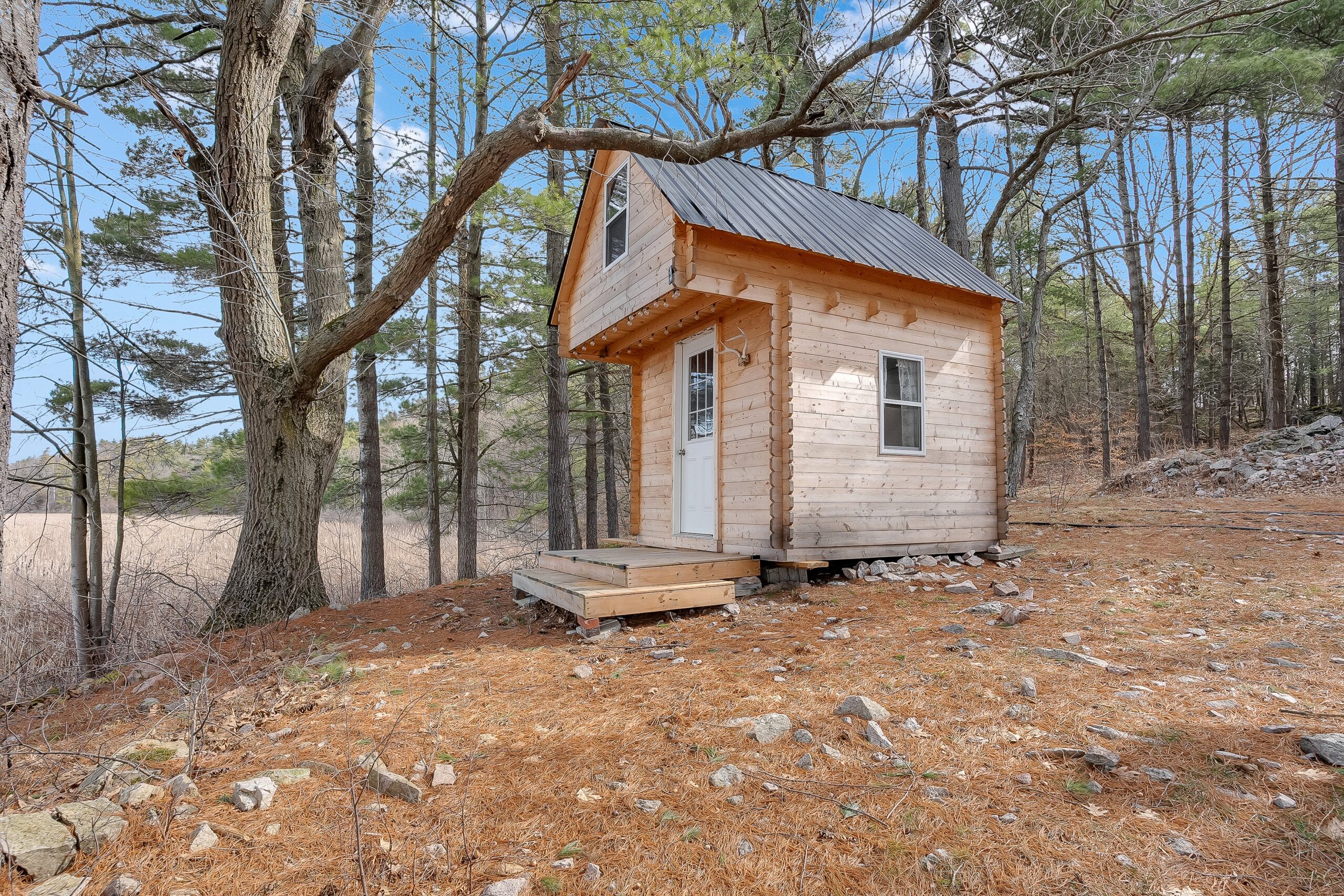 A small wood cabin in a brown forest