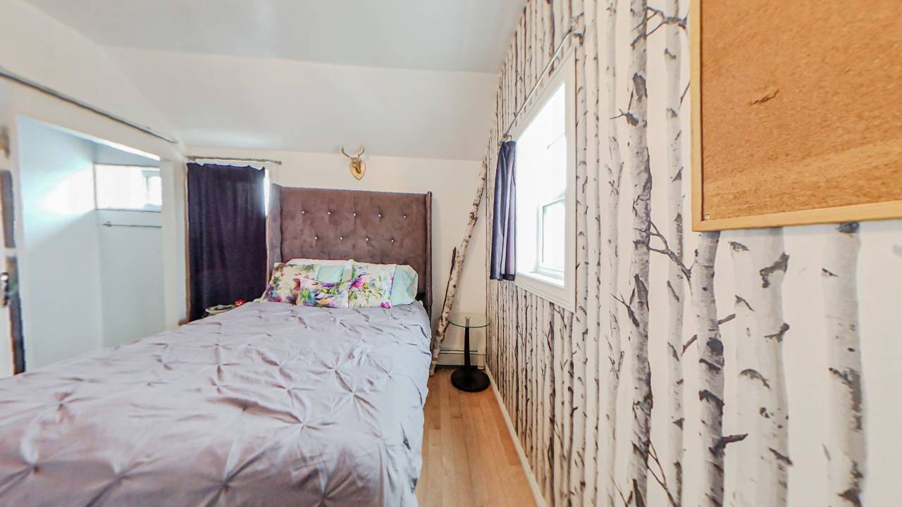 A small grey bed next to a wall with birch wallpaper