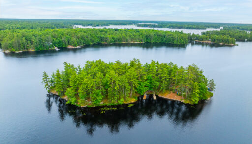Aerial view of an island with lush green trees