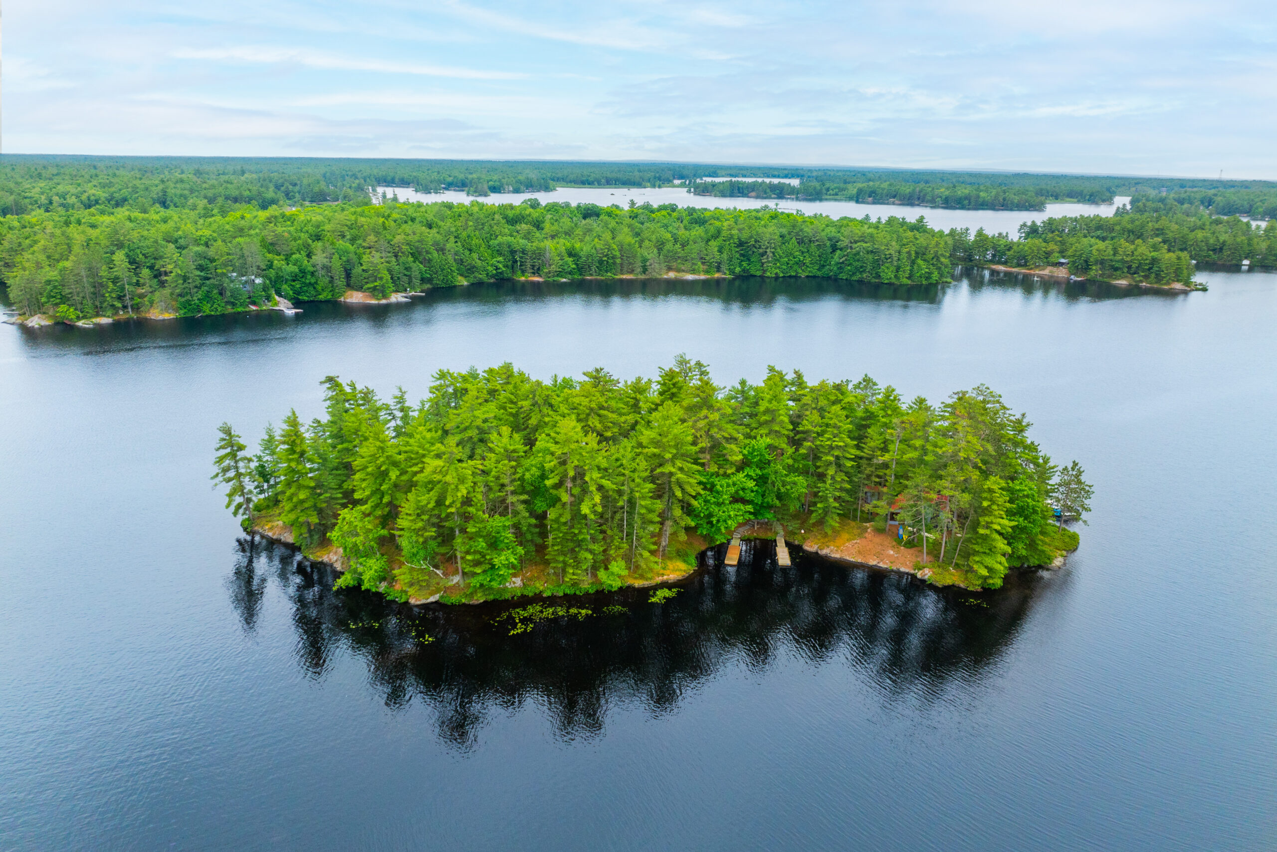 Aerial view of an island with lush green trees