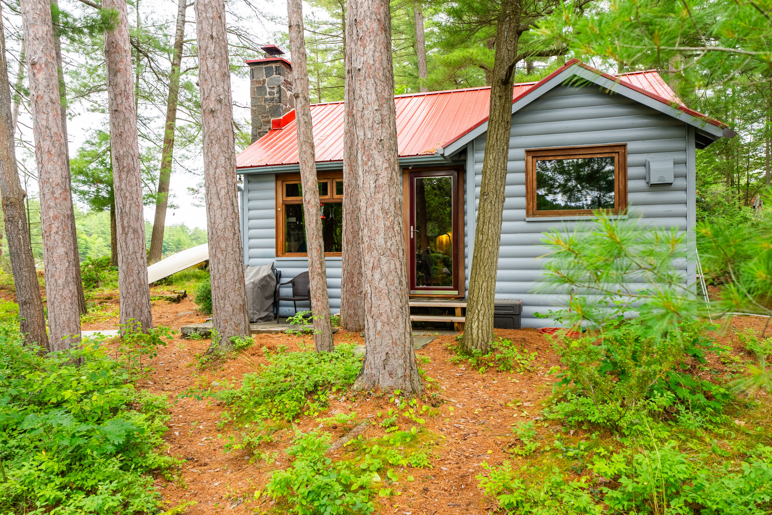 A grey cottage with a red roof is partially hidden behind tall tree trunks