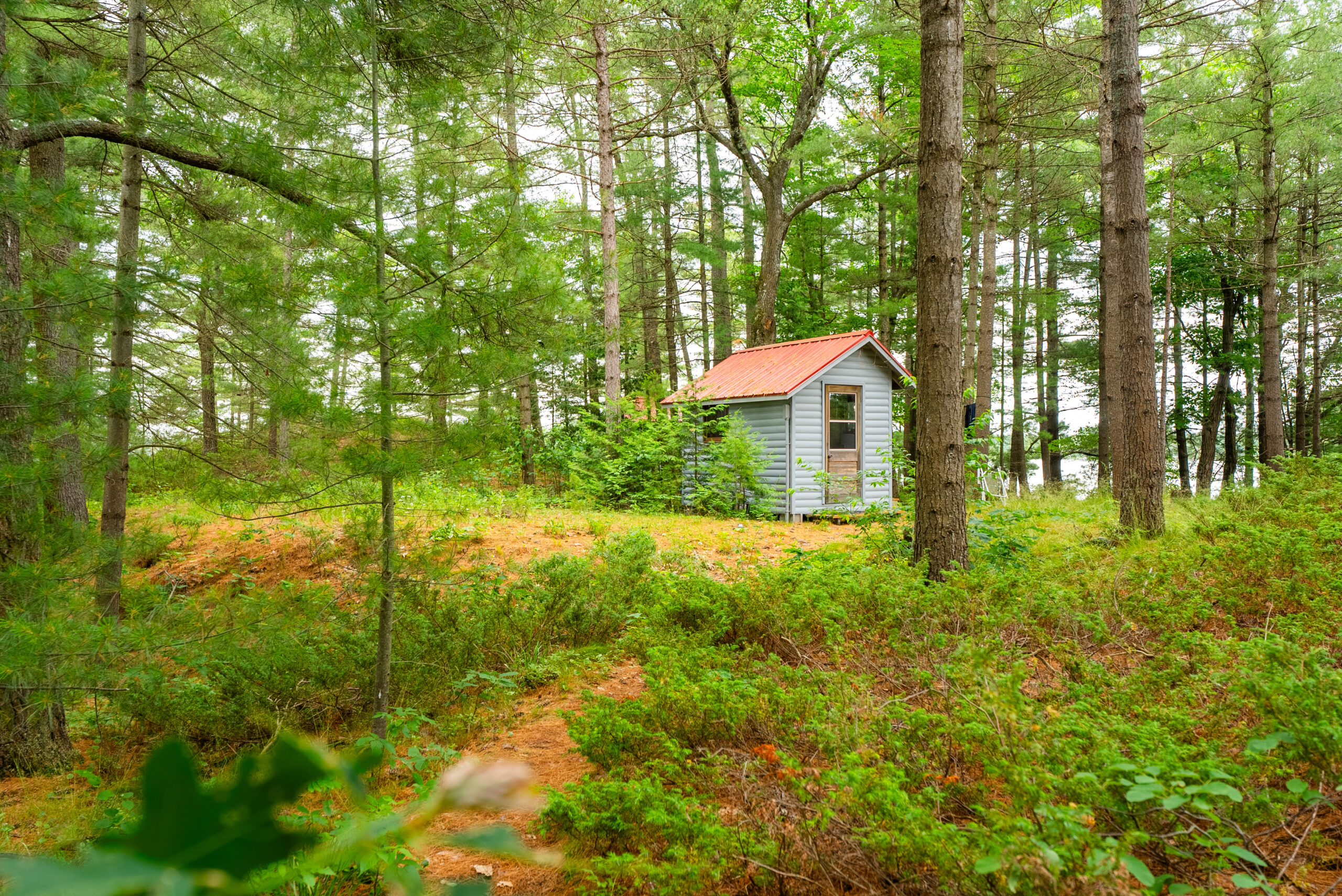 A small light grey building set back in the woods