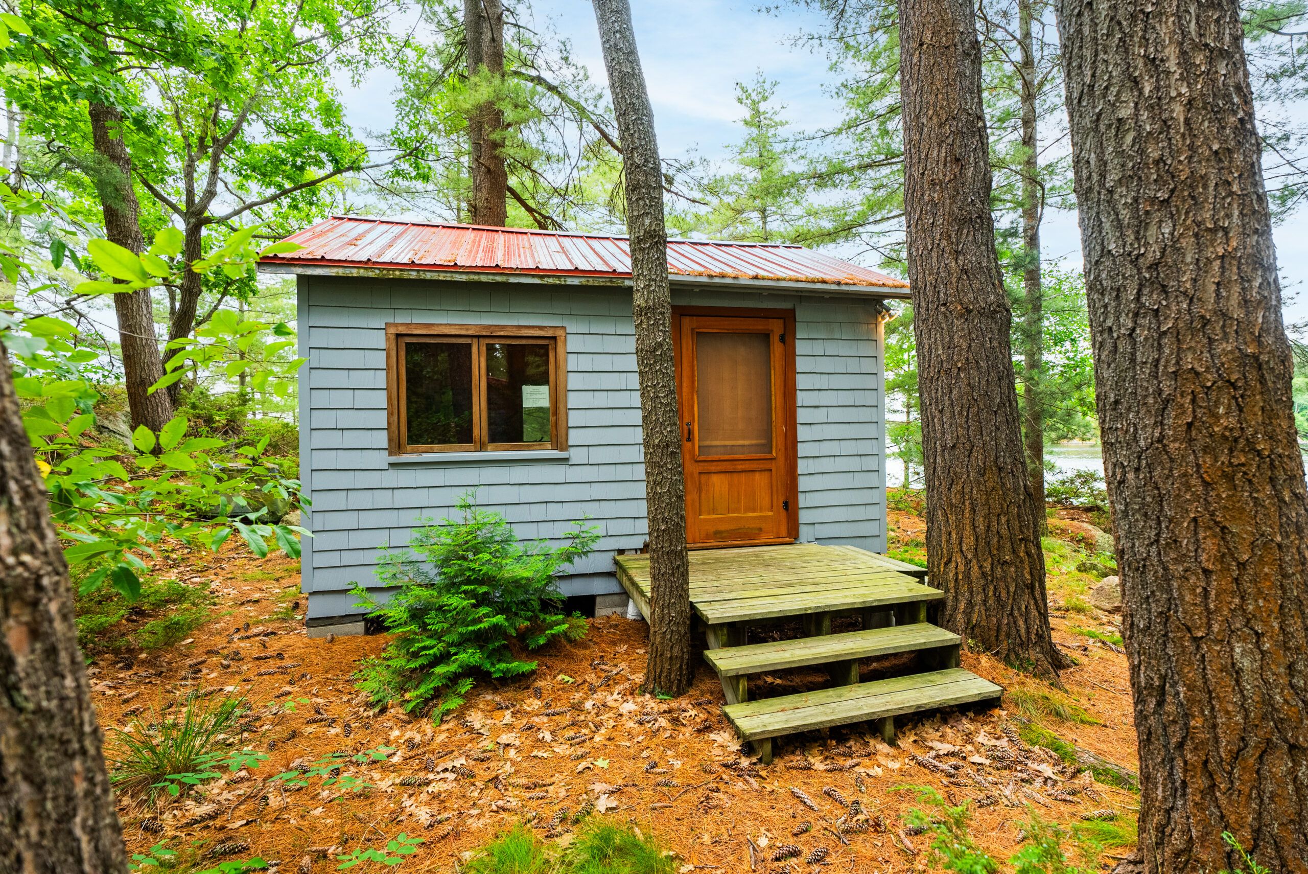 A small wood grey building in the woods