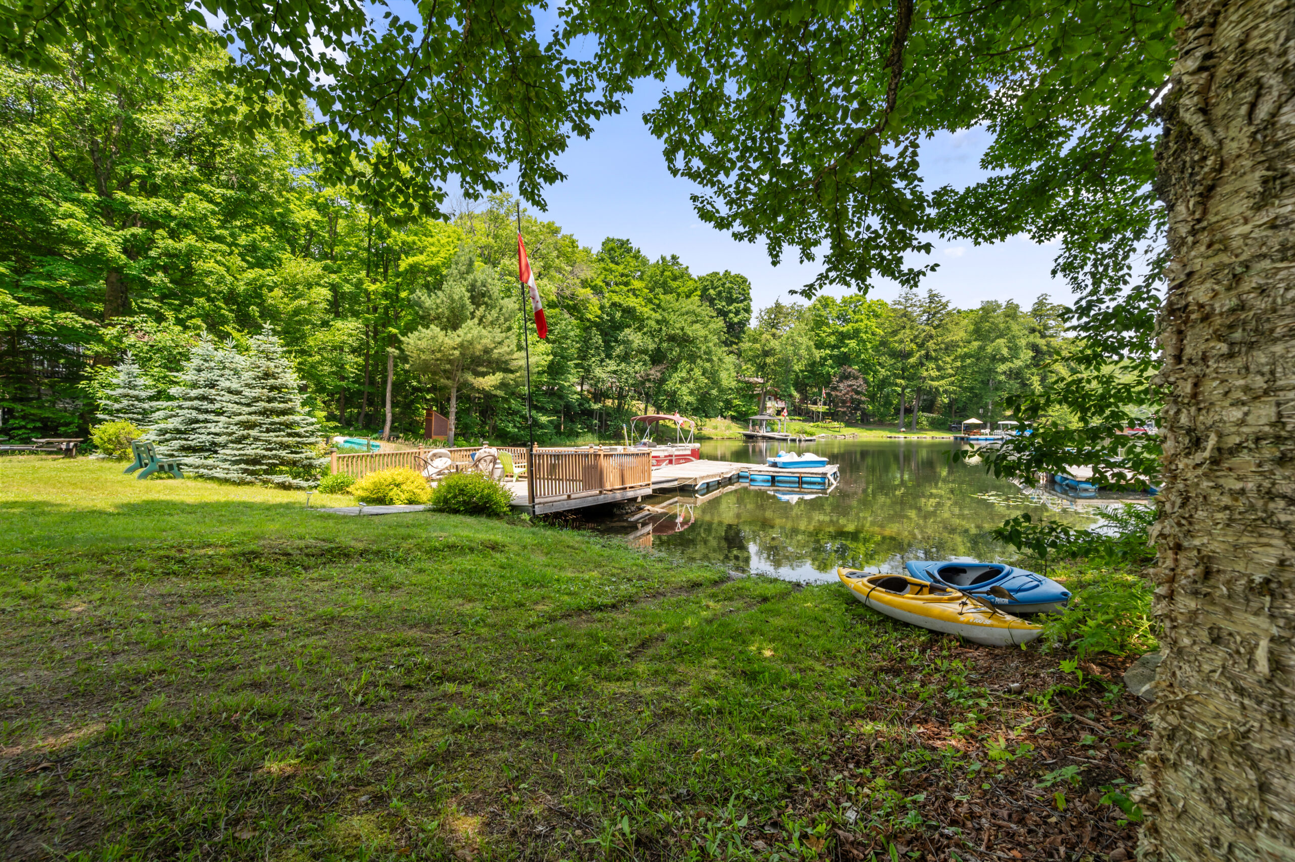 A grassy area next to the lake