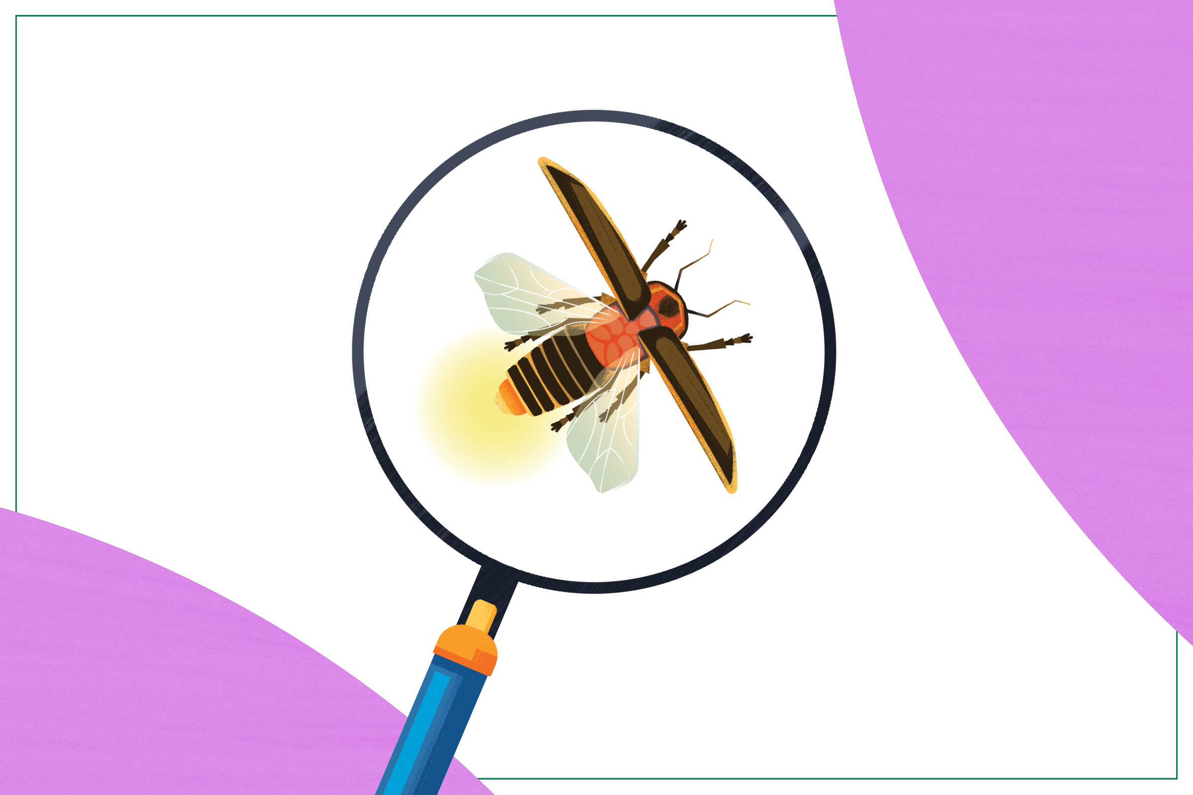 An illustration of a firefly