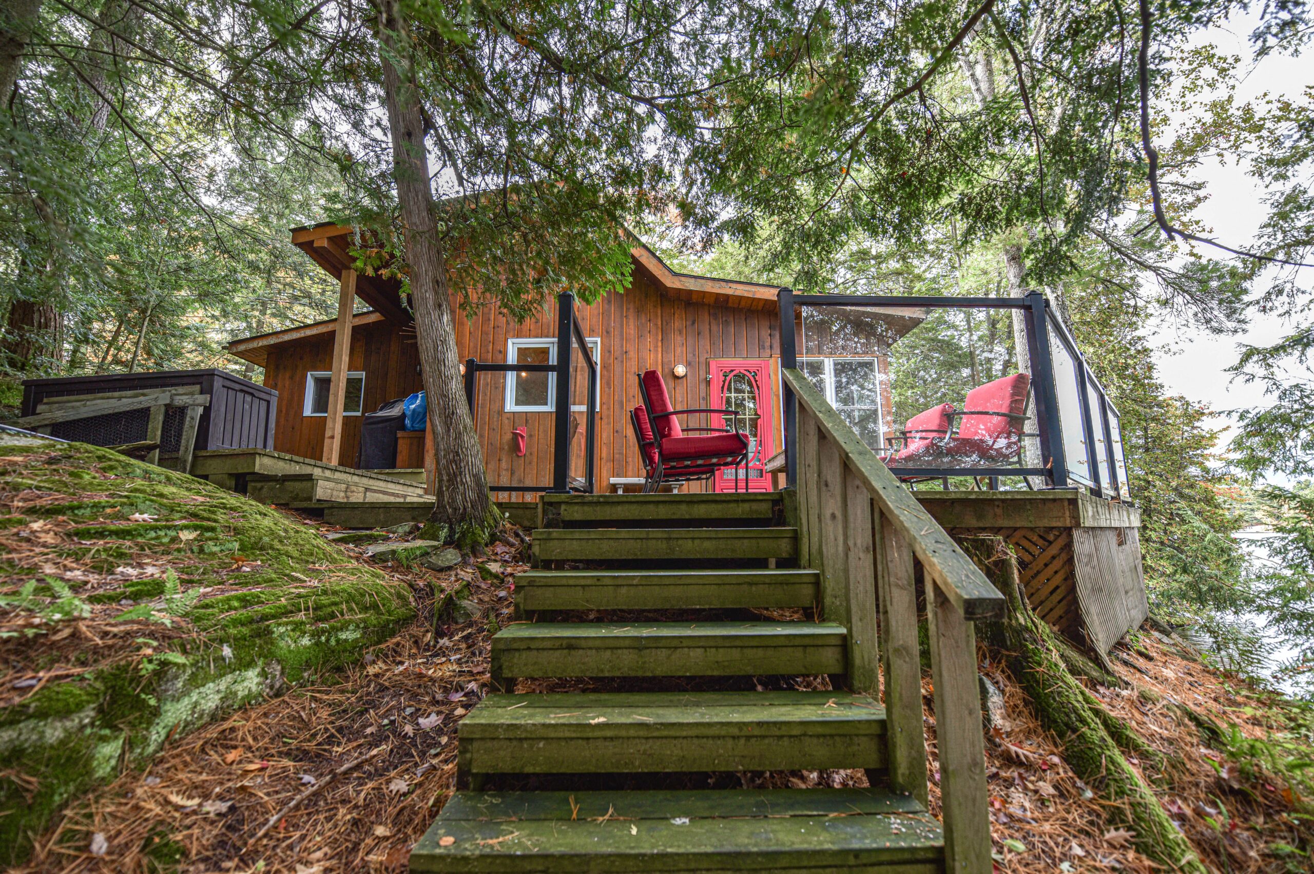 Wood steps lead up to a wood cottage with red Muskoka chairs on the deck
