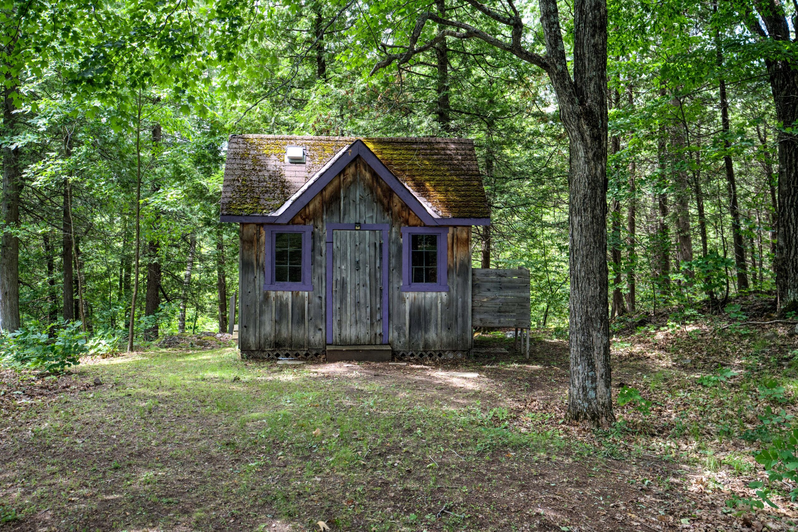 A wood shed in a forest