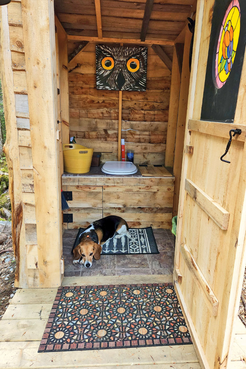 An outhouse with a dog curled at the base of the seat