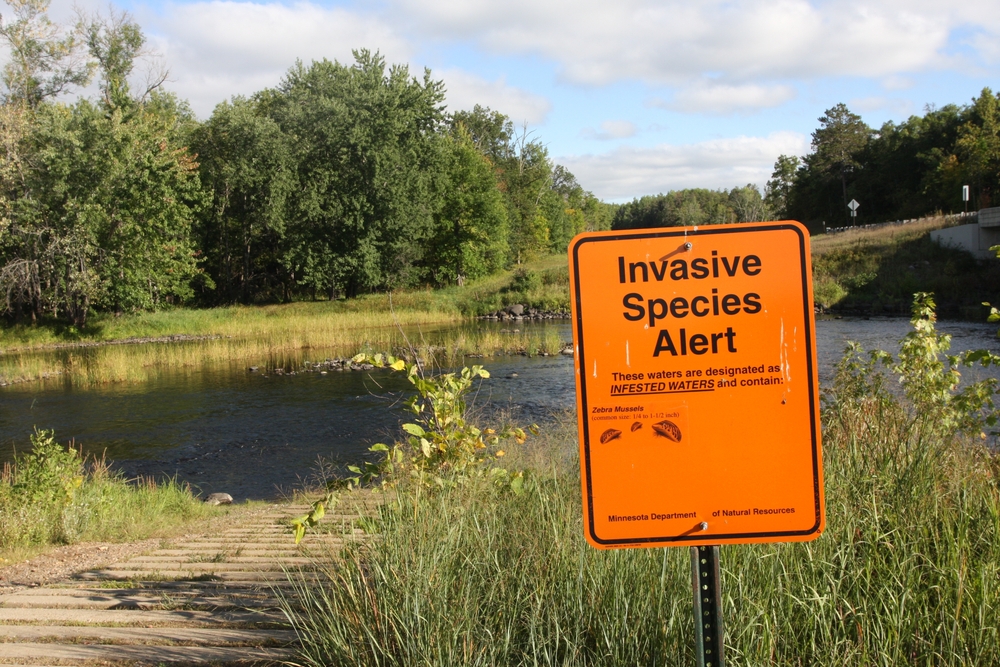 An orange sign warning of invasive zebra mussels