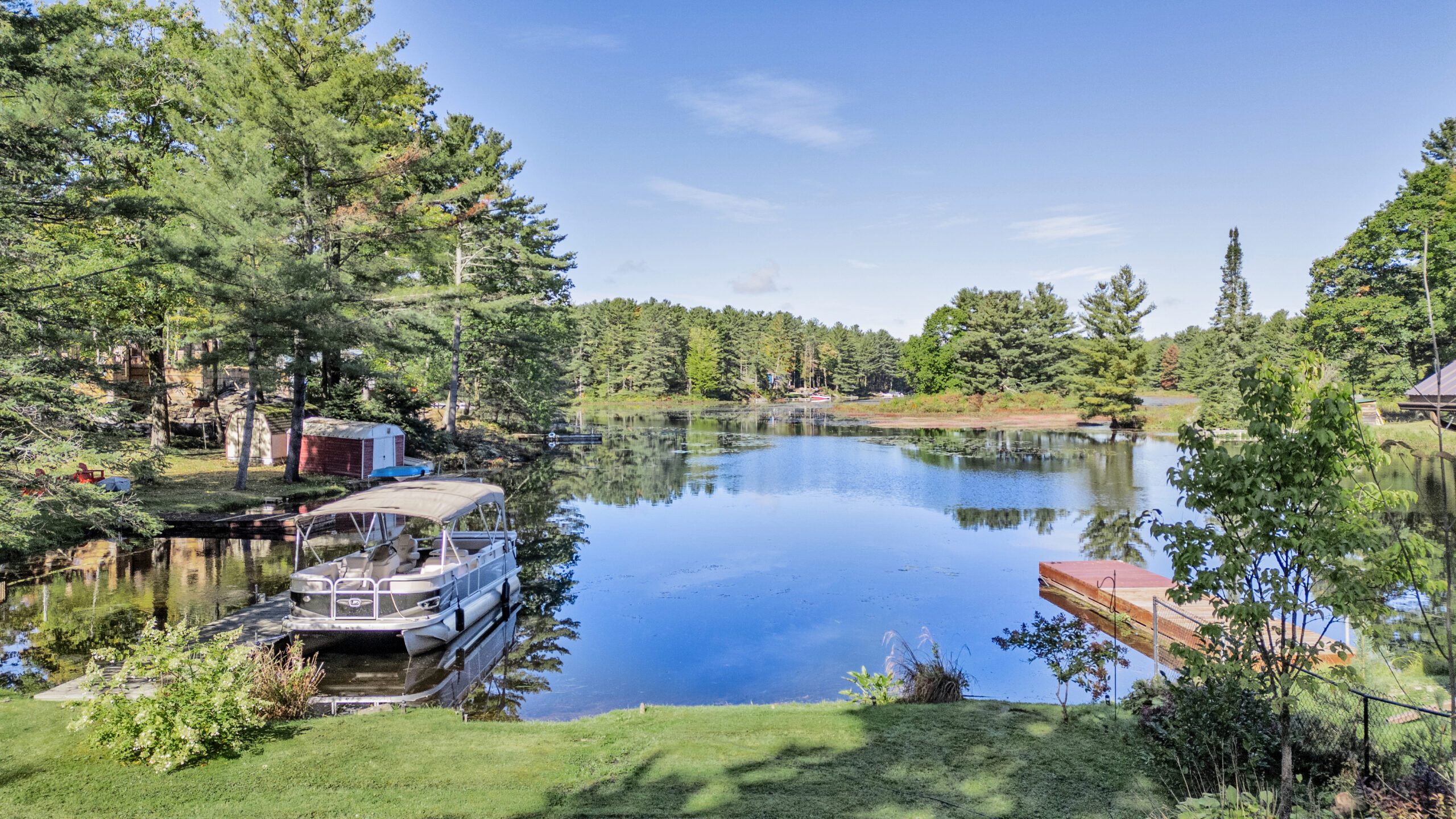 a grassy waterfront on a sunny day