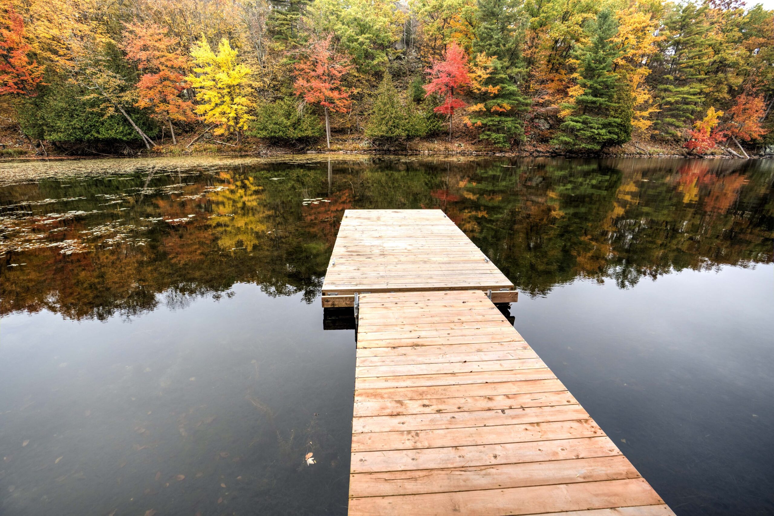 A dock juts out into the lake